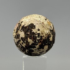 Rarely Offered c. 1865 Hand Hammered Solid Gutty Golf Ball