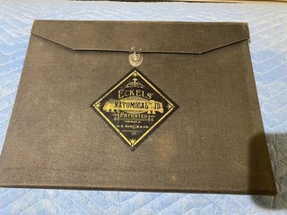 Embalmer's Anatomical Aid late 19th century Funeral Home Rare Goth Scary