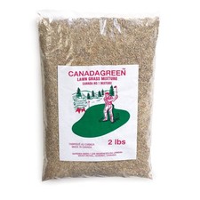 Canada Green Grass Seed 2 Lbs.