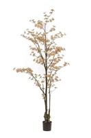 Artplants Kunstbaum Kapuzinerkresse Sulla, Kunststamm, Pfirsich-GrüN, 210Cm