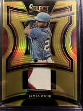 2025 Panini Select Swatches James Wood /10 Gold  2 Color Relic