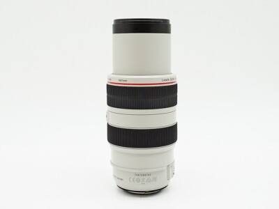 Near Mint Canon EF 70-300mm f4-5.6 L IS USM Lens Fast Shipping | eBay