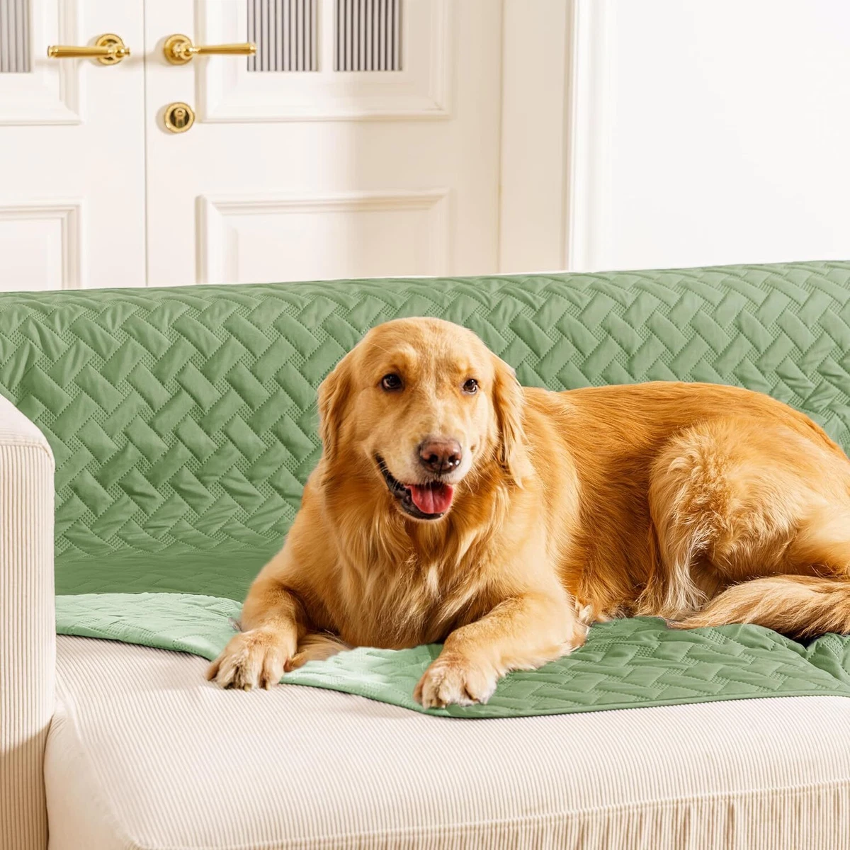 gogobunny 100 Double Sided Waterproof Dog Blanket Soft Pet Bed Cover Reversible