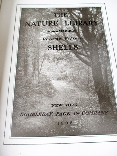 THE SHELL BOOK,1910,Julia Ellen Rogers,Illustrated - Picture 5 of 7