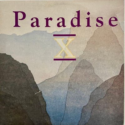 Paradise X - 2 Much, 12'', (Vinyl)