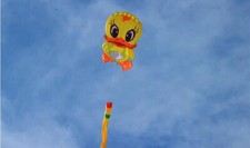 2024 New 3D software kite / flying small yellow duck / cartoon kite