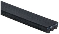 Gates Keilrippenriemen Schwarz (3PK848) FüR Toyota Yaris Verso Van Echo BB I