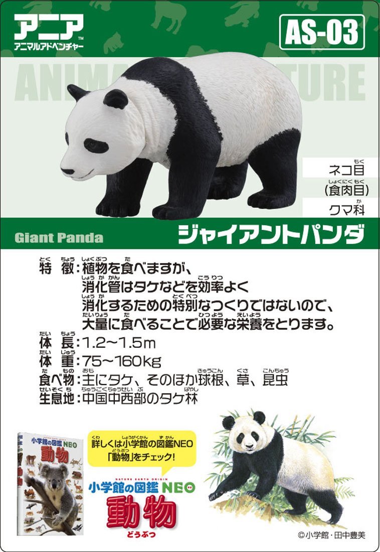 Takara Tomy Ania AS-03 Giant Panda Action Figure 487937 Real