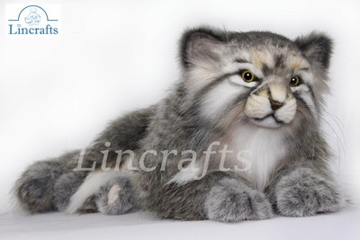 hansa pallas cat
