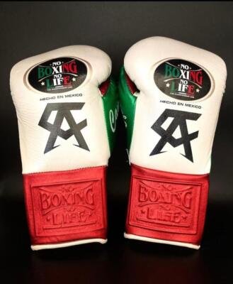 Customized handmade boxing gloves white & red NBNL Personalized Name