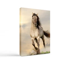 NMGD Canvas prints for Wall Décor Oil Painting Reproductions style-107