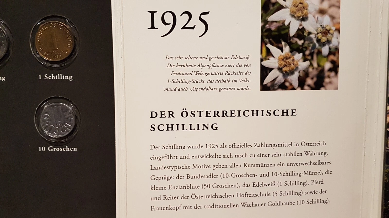 Bild 12 von 15