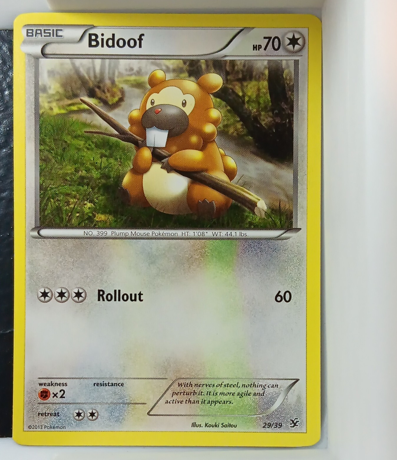 Bidoof 29/39 Kalos Starter Set Regular Common 70 HP Basic Pokémon TCG English