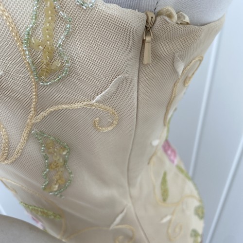 Libra Pale Gold Embellished Dress & Matching Bolero Mother Of The Bride Size 10 - Picture 21 of 24