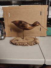 Oyster Catcher Wood Carving