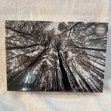 Bgraamiens Brain Games Forest in Black and White 1000 Piece Puzzle NEW SEALED