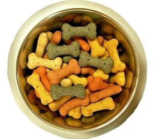 pointer dog biscuits