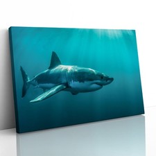 Great White Shark Jaws Canvas Framed Print Picture Wall Art