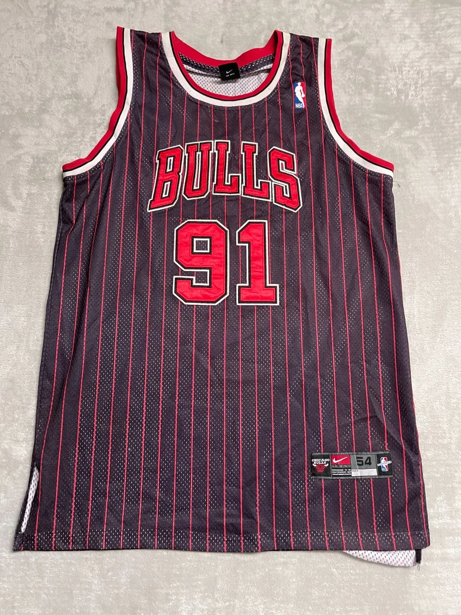 Nike Dennis Rodman Chicago Bulls Sports Fan Apparel & Souvenirs