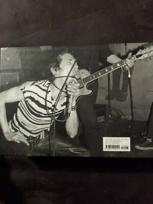 PUNK 365 by Holly George-Warren 2007 HNA Inc. Over 700 Pages In 