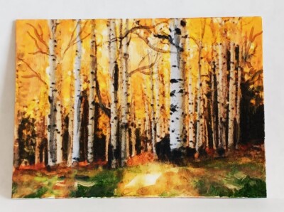 Aspen Tree Forest ACEO Original Landscape hand PAINTING by Leslie Popp