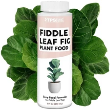 Fiddle Leaf Fig Plant Food for All Fig and Other Ficus Trees, Liquid Housepla...