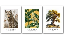Serbia National Symbols, Set of 3 Poster Prints, Wall Art Home Décor, Unframed