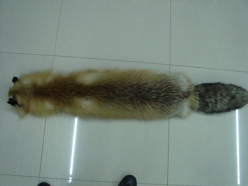 1x Piel de zorro curtida Piel de cuero real suave denso 39-47 pulgadas Foto 3 de 4