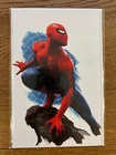 Amazing Spider-Man, Vol. 6 #26 - Rafael Grassetti NYCC Virgin Variant Ltd. 1000