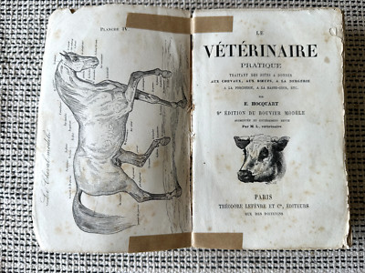 E. Hocquart * Der praktische Tierarzt / Bouvier Modell * Lefèvre 1881