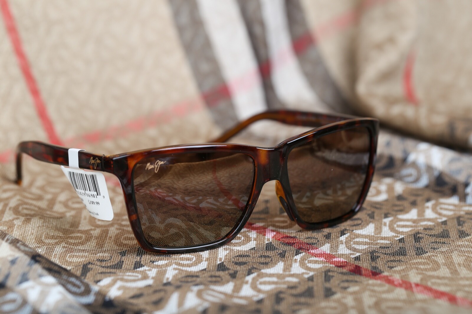 maui jim tortoise