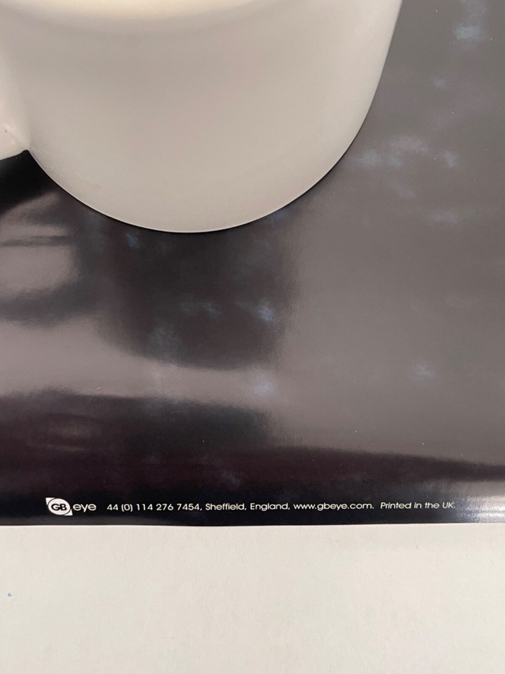 KURT COBAIN,NIRVANA, THE END OF MUSIC, AUTHENTIC 2005 POSTER eBay