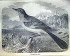 Picture 14 of 24