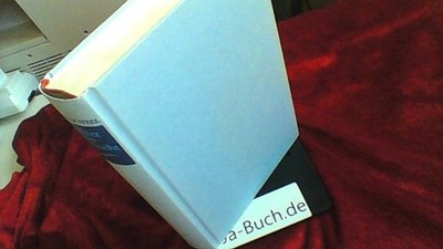 Töchter der Sehnsucht. Roman Danielle Steel: