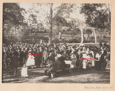 ORIGINAL OLD PHOTOGRAPH Cornish Association Picnic Crowd South Australia c1912