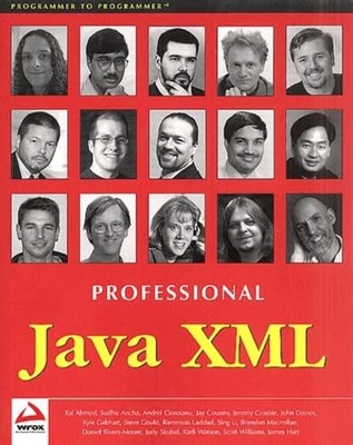 Professional Java XML