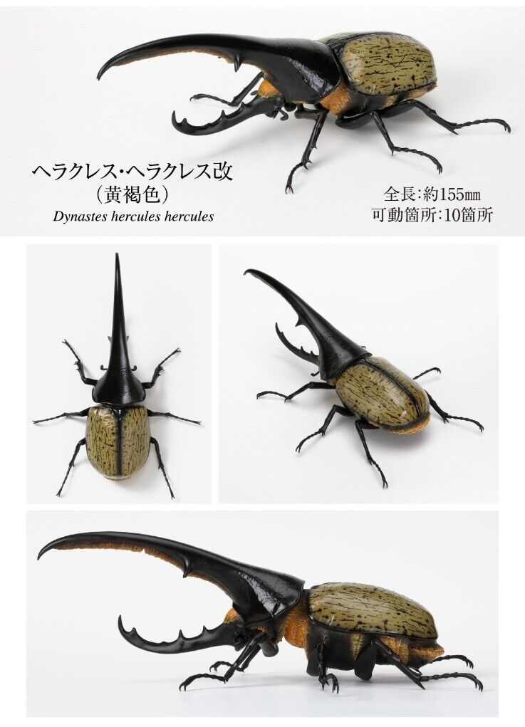 Creature Encyclopedia Beetle 07 Hercules Beetle Online