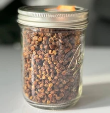 Bee Bread 4.3 oz / 120g Pure Fermented Bee Pollen, Organic Supplement, Raw Perga