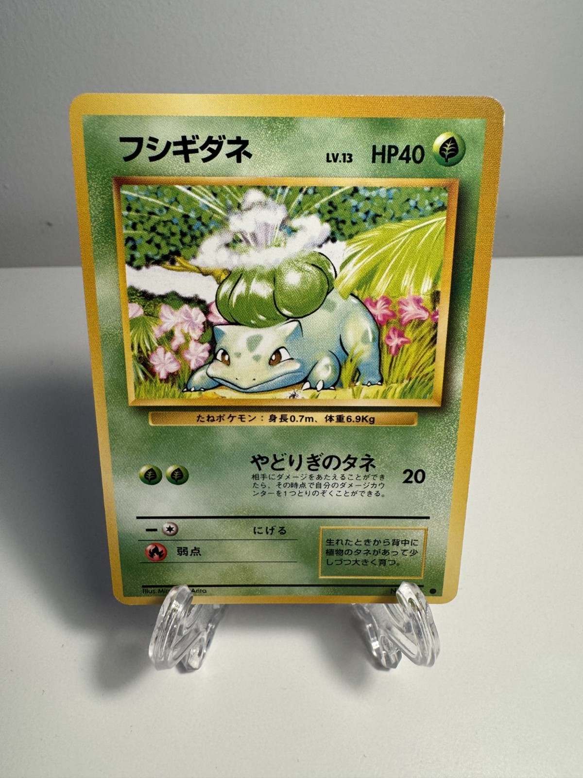 [NM-] Bulbasaur Common Expansion Pack Japanese 1996 Base US SELLER