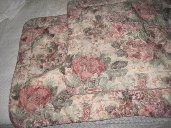CROSCILL COTSWOLD CINNAMON GREEN CREAM FLORAL (2PC) STANDARD SHAMS 24" X 28" - Image 2 of 4