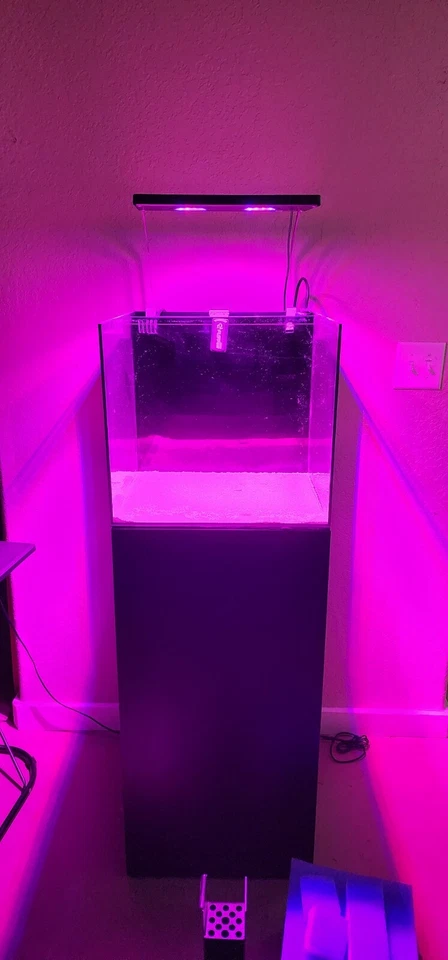 Waterbox 20 gallon AIO Full Aquarium - Image 2 of 4
