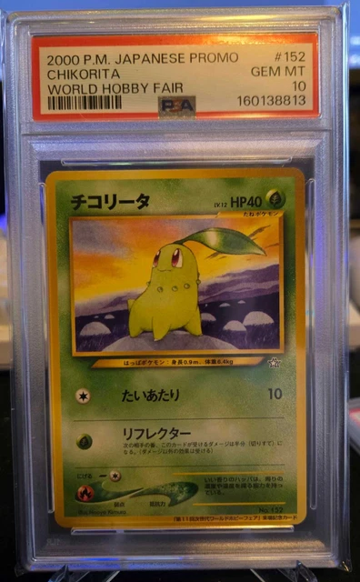 Chikorita