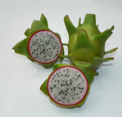 Connie Mayer dragon fruit photo 2