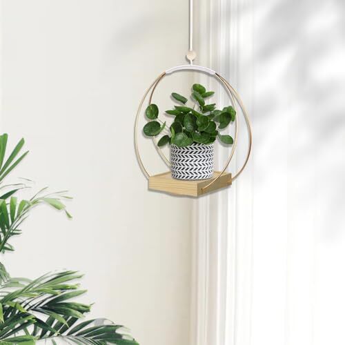 Plantadoras colgantes para plantas de interior, colgador de plantas con 1 paquete/base de oro + madera - Imagen 2 de 6