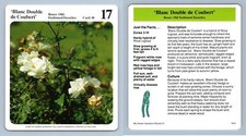 Blanc Double De Coubert #10 Roses - My Green Gardens 1987 Cardmark Card
