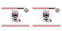 Esen SKV 2X Radnabe Radlagersatz Hinterachse FüR Smart Cabrio Fortwo 450 452