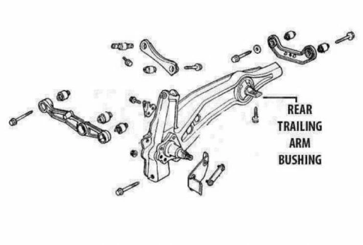 Rear Lower Trailing Arm Bushing Bearing For Acura Integra Honda Civic CRX CR-V - Image 2 of 4