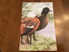 ICOLLECTZONE New Zealand  1994 Duck in Fleetwood Art PackXF NH (C700)