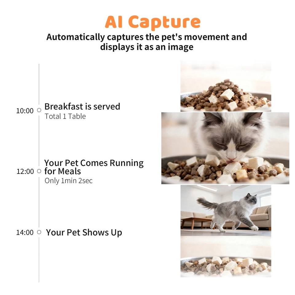 Automatic Cat Feeder, 6L 2.4G/5G WiFi Cat Food Dispenser with 10s Voice Recorder - Image 2 of 4