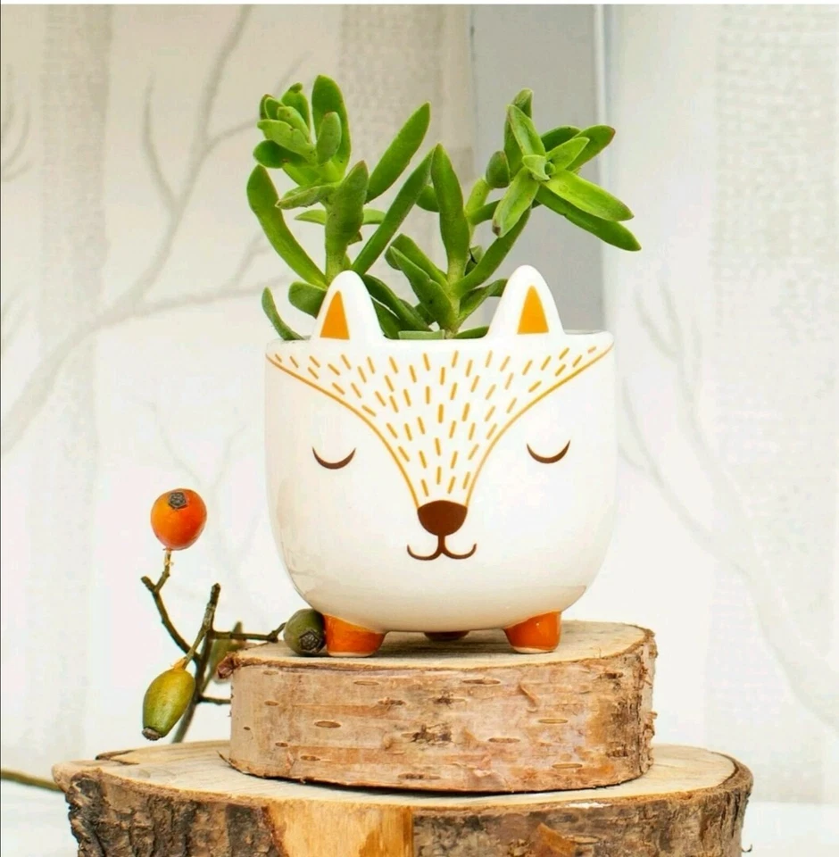 Sass & Belle Mini Woodland Fox Planter Plant Pot Seed Nature Cute Animal Scandi